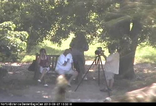 2010-06-27_160255.jpg