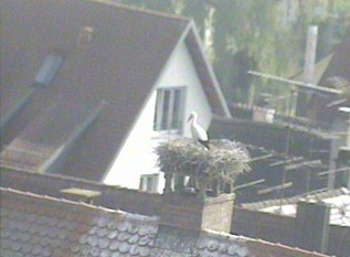 2010-06-27_170858.jpg