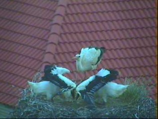 2010-06-27_192025.jpg