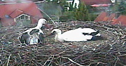 2010-06-27_212513.jpg