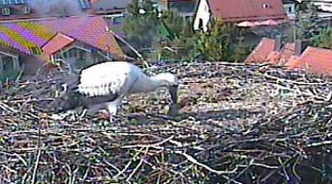 2010-06-28_174642.jpg