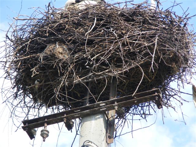 DSCF1251 (Small).JPG