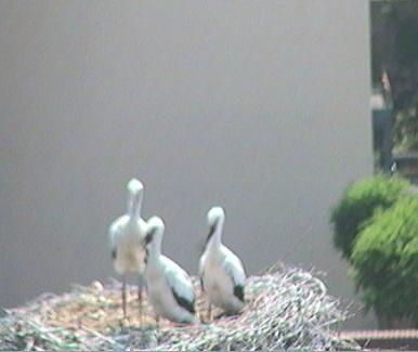 2010-06-29_134629.jpg
