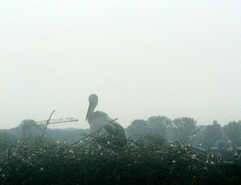 2010-06-30_090248.jpg