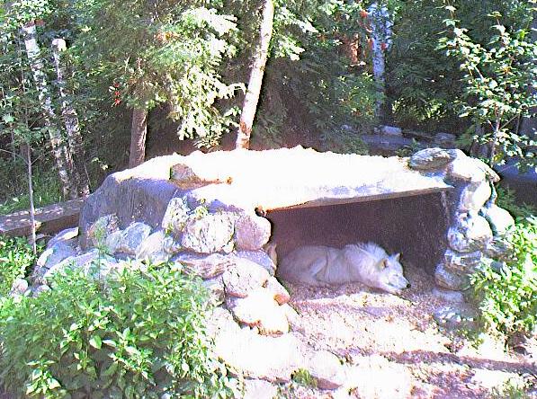 2010-06-30_173150.jpg