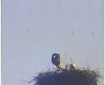 2010-06-30_210730.png