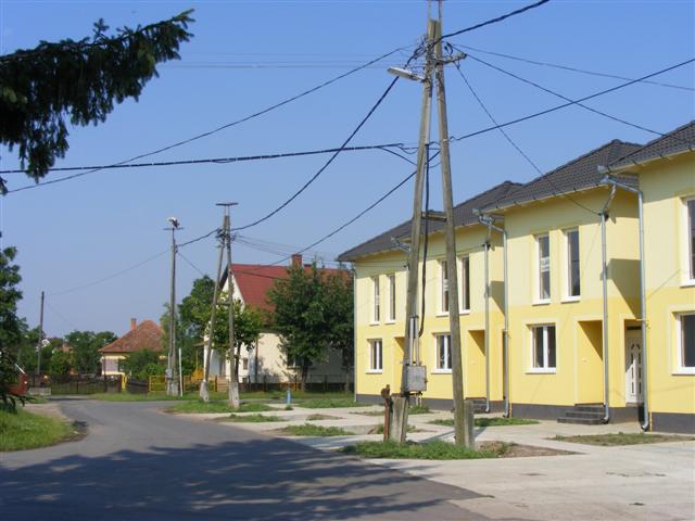 DSCF1381 (Small).JPG