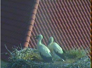 2010-07-02_203055.jpg