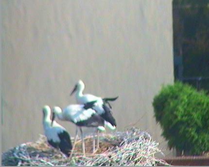 2010-07-04_181015.jpg