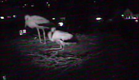 2010-07-05_223642.jpg