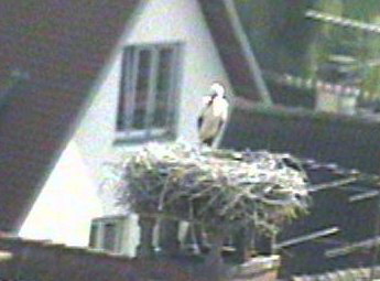 2010-07-06_163621.jpg