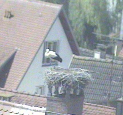 2010-07-07_105504.jpg