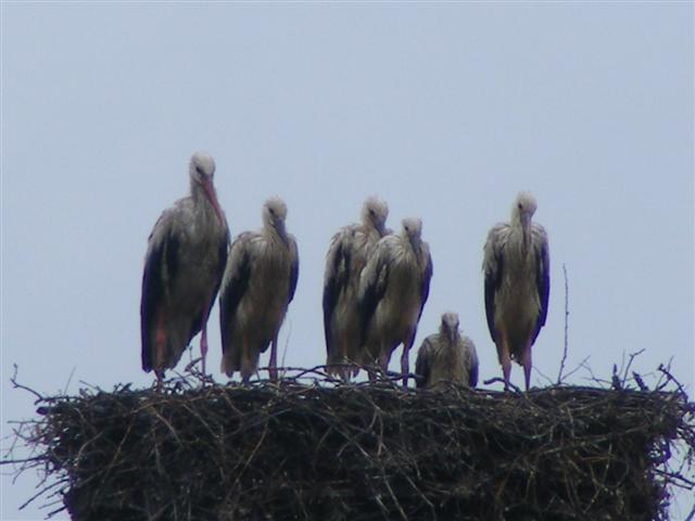 DSCF1739 (Small).JPG