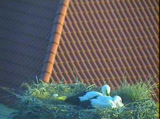 2010-07-07_195123.jpg