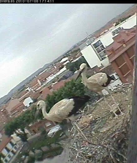 2010-07-08_165145.jpg