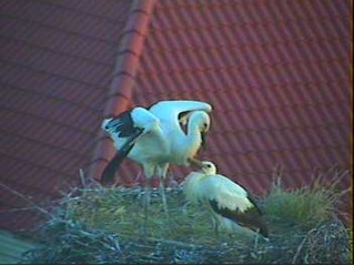 2010-07-08_203105.jpg