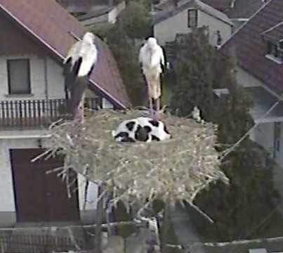 2010-07-09_043359.jpg