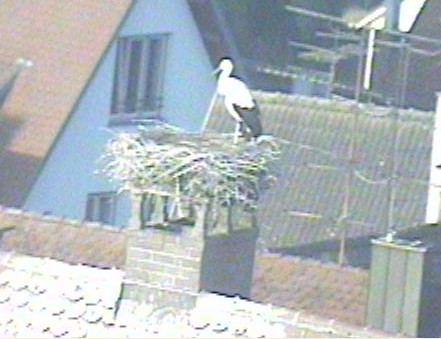 2010-07-09_063908.jpg