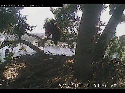 2010-07-09_205421.jpg