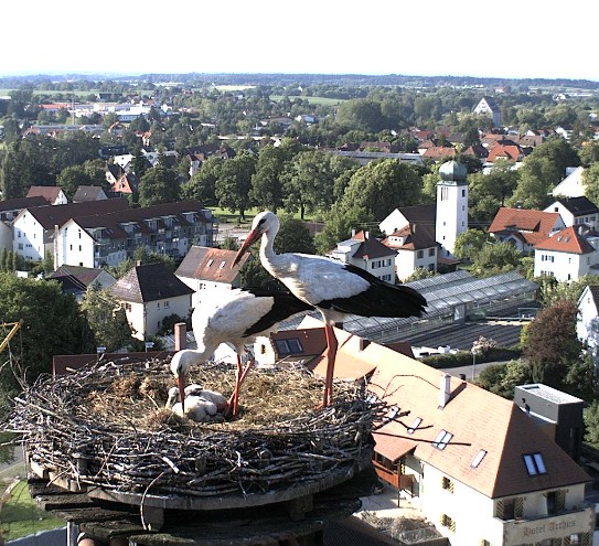 aulendorf1.jpg