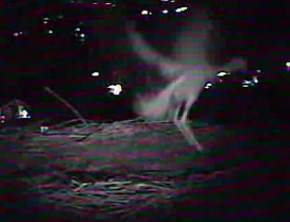 2010-07-13_221900.jpg