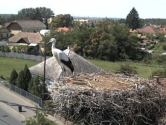 2010-07-14_142915.jpg