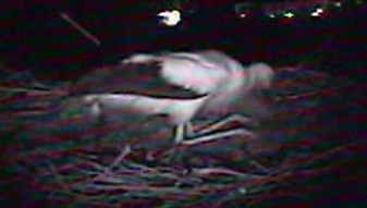 2010-07-15_220655.jpg