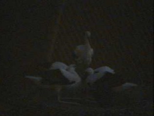 2010-07-22_211043.jpg