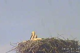 2010-07-24_185144.jpg