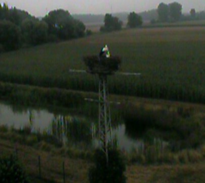 2010-07-26_084044.jpg