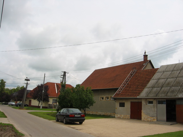IMG_6858_resize.JPG