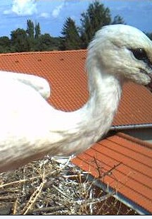 2010-07-28_162214.jpg