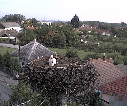 2010-07-29_083359.jpg