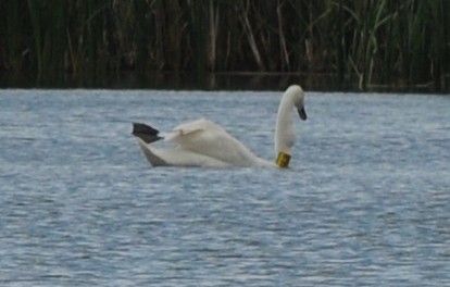 2010-07-31_144125.jpg