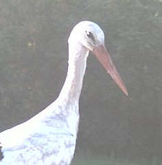 2010-08-04_184039.jpg