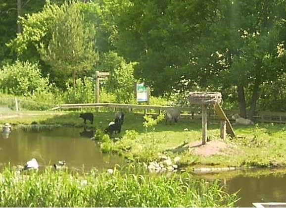 silkeborg1.jpg