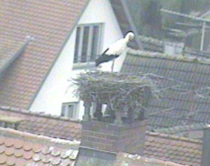 2010-08-06_124531.jpg