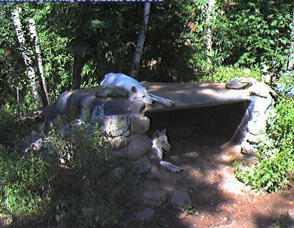 2010-08-06_222046.jpg
