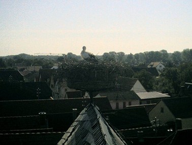2010-08-07_100952.jpg