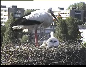 beleef de lente1.jpg