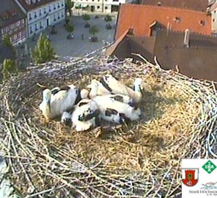 höchstadt1.jpg