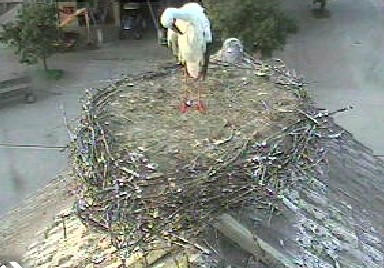 2010-08-10_071515.jpg