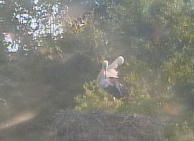 2010-08-10_074931.jpg