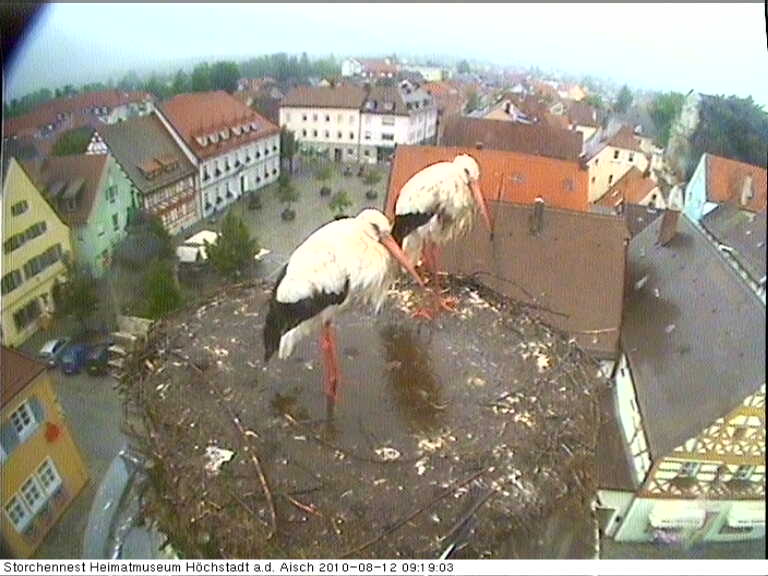 höch.jpg