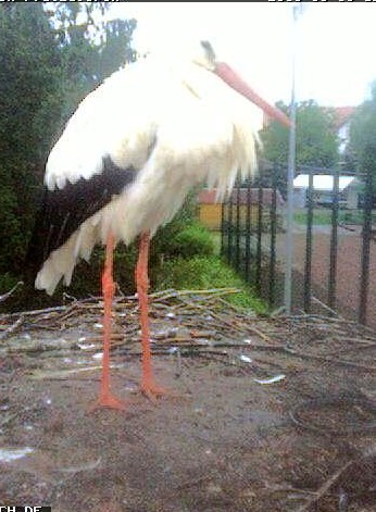 2010-08-16_061034.jpg