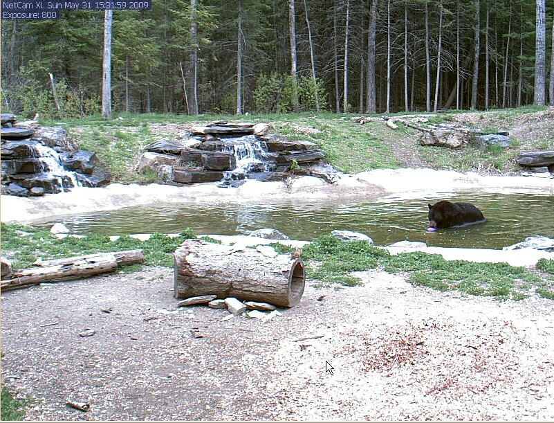 2009-05-31_223006.jpg