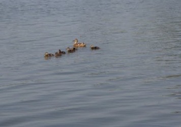 2010-08-17_210434.jpg