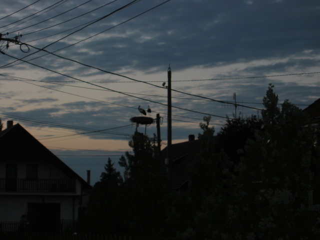IMG_6953_resize.JPG