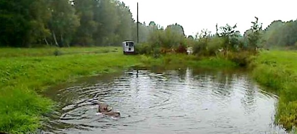 2010-09-13_070520.jpg