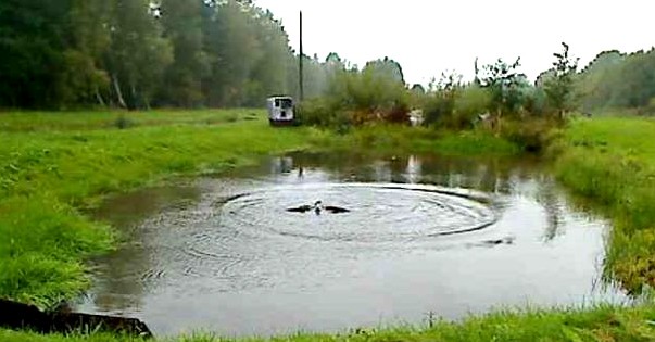 2010-09-13_070538.jpg